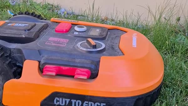 Worx Landroid Mähroboter im Garten